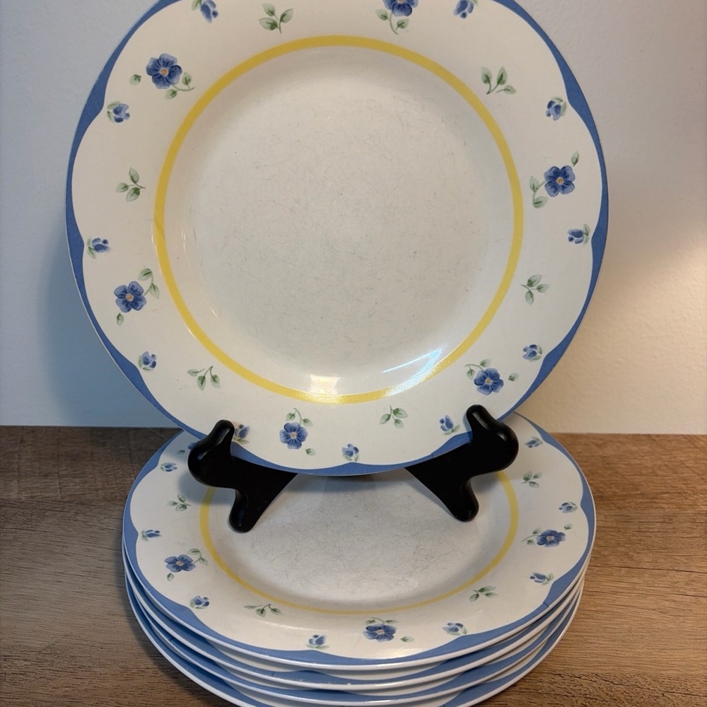 VTG Set Of 5 Pfaltzgraff Shelby 8.75"  Lunch / Salad Plates With Blue Flowers